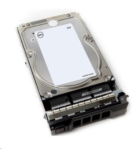 Obrázek DELL 4TB Hard Drive SATA 6Gbps 7.2K 512n 3.5in Hot-Plug CUS Kit T360, T560, R360,R450,R550, R660, R760, Rxx5...