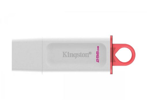 Obrázek Kingston Flash Disk 256GB USB3.2 Gen1 DataTraveler Exodia (White + Pink)