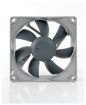 Obrázek NOCTUA Ventilátor NF-R8 redux-1800 PWM, 80mm, šedá