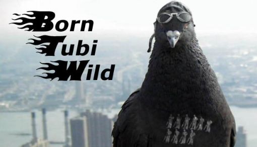 Obrázek Born Tubi Wild (PC) klíč Steam