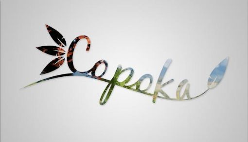 Obrázek Copoka (PC) klíč Steam