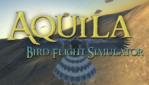 Obrázek Aquila Bird Flight Simulator (PC) klíč Steam