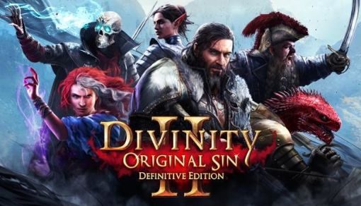 Obrázek Divinity: Original Sin (PC) DIGITAL