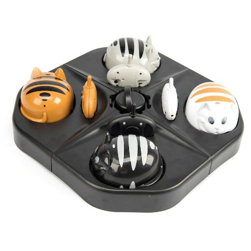 Obrázek TT - Clever Cats