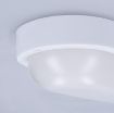 Obrázek Solight LED venkovní osvětlení oválné, 13W, 910lm, 4000K, IP54, 21cm