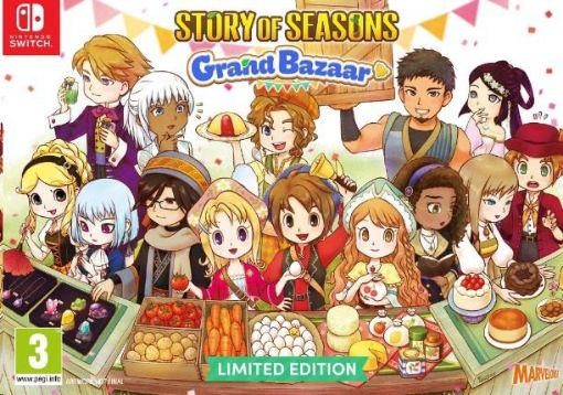 Obrázek NS hra Story of Seasons Grand Bazaar Limited Edition