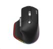 Obrázek ACER bezdrátová myš Easy Fit Mouse,ergonomická,4000dpi,6 tlačítek,RGB,10m dosah,USB-C,BT,Black