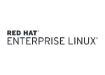 Obrázek HPE Red Hat Enterprise Linux Server 2 Sockets or 2 Guests 3 Year Subscription 24x7 Support E-LTU
