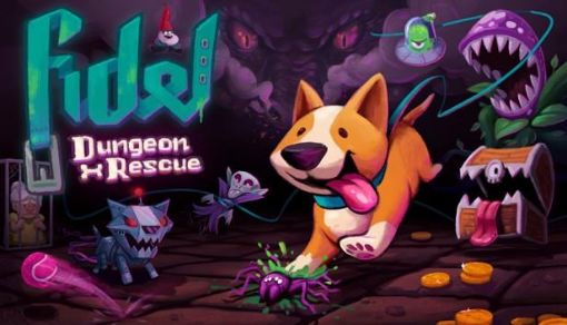 Obrázek Fidel Dungeon Rescue (PC) klíč Steam