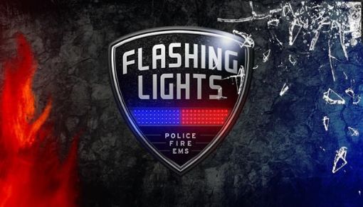 Obrázek Flashing Lights - Police Fire EMS (PC) klíč Steam