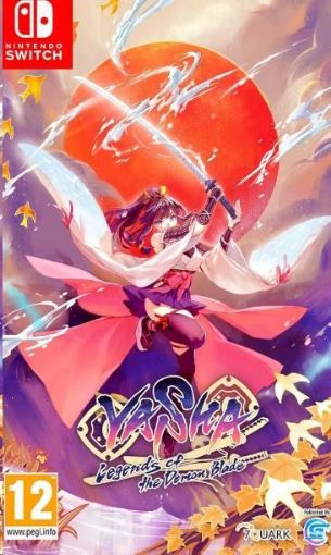 Obrázek NS hra Yasha: Legends of the Demon Blade