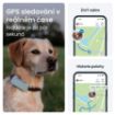 Obrázek Tractive DOG 6 – GPS lokátor pro psy a monitor zdraví, mátový
