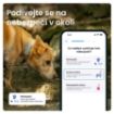 Obrázek Tractive DOG 6 – GPS lokátor pro psy a monitor zdraví, mátový