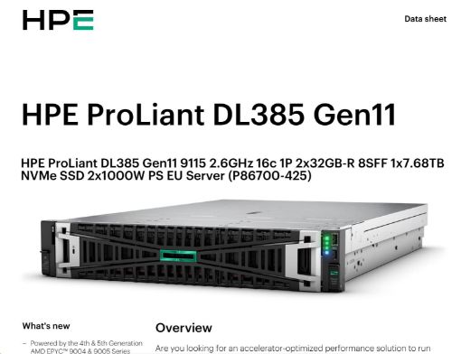 Obrázek HPE PL DL385g11 AMD EPYC 9115 (2.6/16C) 2x32G (P64985) 1x7.68TB NVMe 2x1000W 8SFF 2p10GT Smart Choice