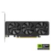 Obrázek ASUS VGA NVIDIA GeForce RTX 5060 LP BRK 8GB, 8GB GDDR7, 1xDP, 2xHDMI