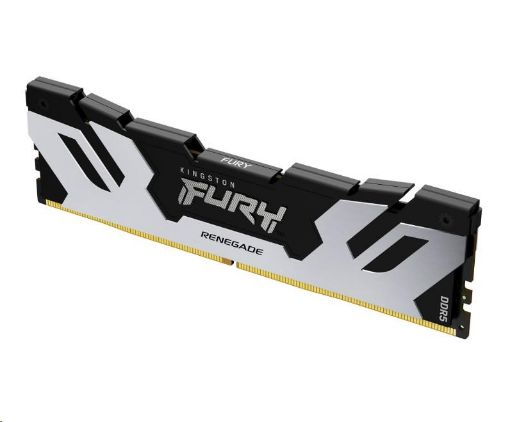 Obrázek KINGSTON DIMM DDR5 24GB 8000MT/s CL38 FURY Renegade Silver