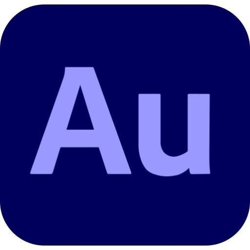 Obrázek Audition for teams MP ML Government 1 User, 12 Months, Level 2, 10 - 49 Lic