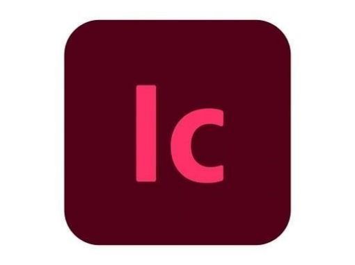 Obrázek InCopy for teams MP ML (+CZ) Education Named, 12 Months, Level 3, 50 - 99 Lic