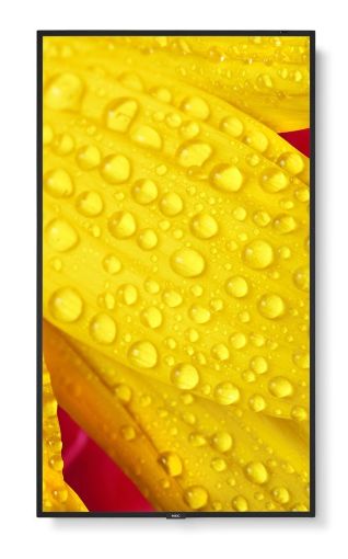 Obrázek SHARP/NEC MultiSync ME432 LCD 43", IPS, LED, 3840x2160, 400nit, 1200:1, 8ms, 18/7, HDMI, LAN, USB, Mediaplayer